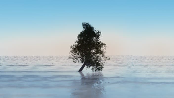 A lone tree in the middle of the ocean